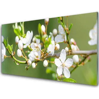 Obraz Obraz na skle Květiny Větve Listy Sad 100x50 cm 2 Přívěsky