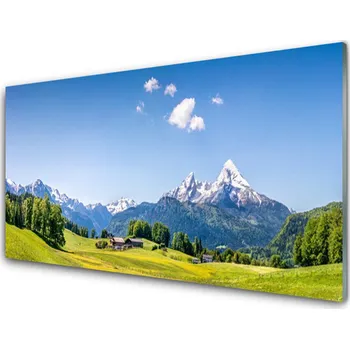 Obraz Obraz na skle Pole Stromy Hory Krajina 100x50 cm 2 Přívěsky