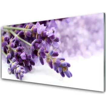 Obraz Plexisklo-obraz Květiny Příroda Rostlina 140x70 cm 2 Přívěsky