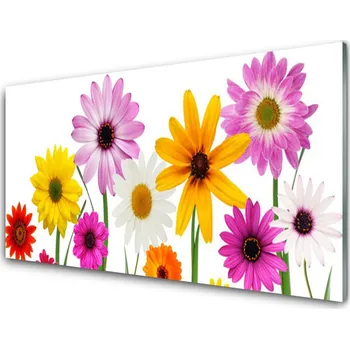 Obraz Obraz na skle Barevné Květiny Příroda 125x50 cm 2 Přívěsky