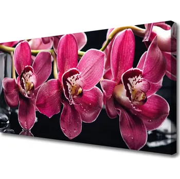 Obraz Obraz na plátně Květiny Orchideje Výhonky Příroda 125x50 cm