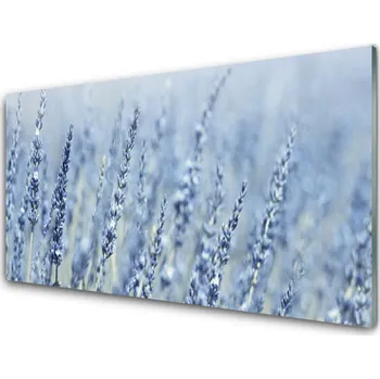 Obraz Obraz na skle Květiny Klasy Louka Příroda 140x70 cm 2 Přívěsky