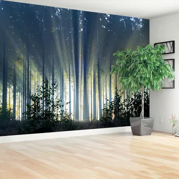 Fototapeta Fototapeta Smrkový les 104x70