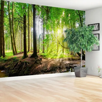 Fototapeta Tulup.cz Les Slunce 104 x 70 cm