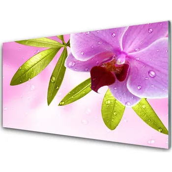 Obraz Obraz na skle Květ Listy Rostlina 125x50 cm 2 Přívěsky