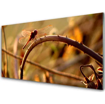 Obraz Obraz na skle Vážka Příroda Rostlina 125x50 cm 2 Přívěsky