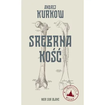Srebrna kość. Tajemnice Kijowa - Andrij Kurkow, Jurij Wynnyczuk