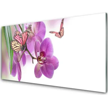Obraz Obraz na skle Motýli Květiny Příroda 120x60 cm 2 Přívěsky