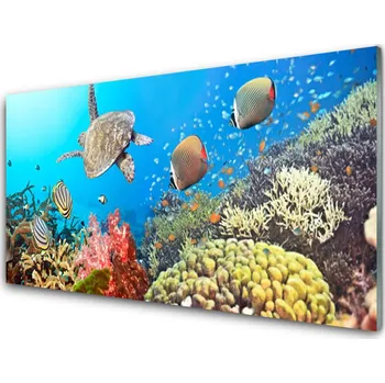 Obraz Obraz na skle Korálový Útes Krajina 100x50 cm 2 Přívěsky