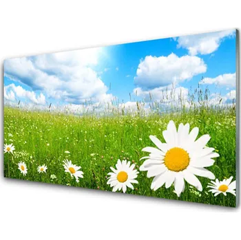 Obraz Obraz na skle Sedmikráska Tráva Příroda 100x50 cm 2 Přívěsky