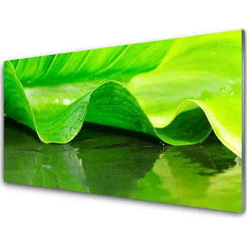 Obraz Obraz na skle Liść Roślina Natura 125x50 cm 2 Přívěsky