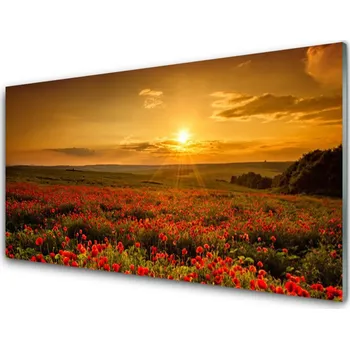 Obraz Obraz na skle Pole Máky Západ Slunce Louka 125x50 cm 2 Přívěsky