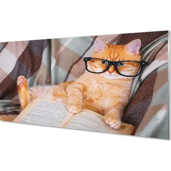 Obraz Obraz na skle Čtenář cat 125x50 cm 2 Přívěsky