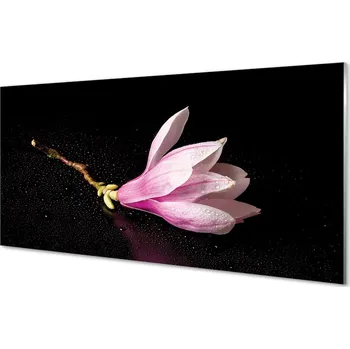 Obraz Obraz na skle květina voda 125x50 cm 2 Přívěsky