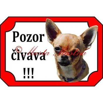 Cedulka čivava, chihuahua krátkosrstá zlatá 2 - Bez samolepicí vrstvy