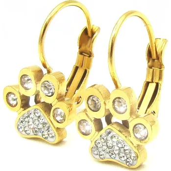 Náušnice Steel Jewelry Náušnice tlapky gold z chirurgické oceli NS180484 dárkové balení zdarma