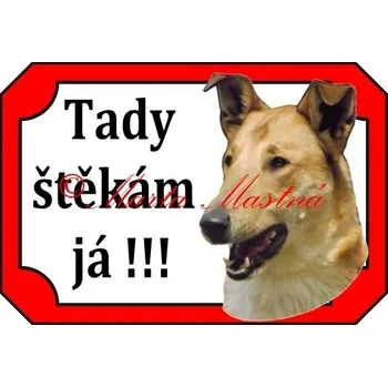 Cedulka kolie krátkosrstá zlatá 2 - Bez samolepicí vrstvy