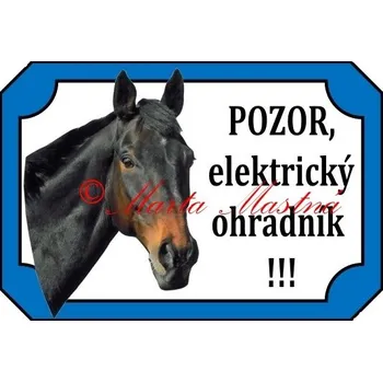 Cedulka kůň, koně, plnokrevník Irodrigo ohradník - Bez samolepicí vrstvy