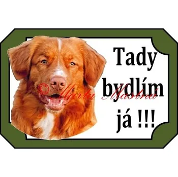 Cedulka kanadský retrívr, nova scotia duck tolling retriever, toller 2 - Bez samolepicí vrstvy
