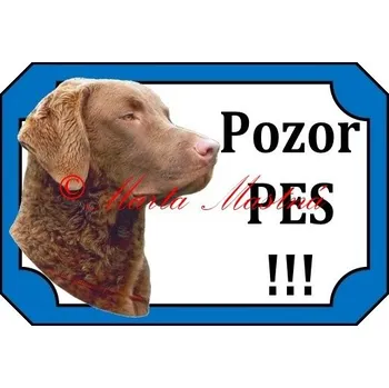 Cedulka chesepeake bay retrívr - Bez samolepicí vrstvy