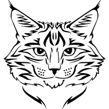samolepka Samolepka (na auto, notebook) Kočka (21)