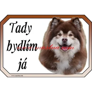 Cedulka lapinkoira hnědá - Bez samolepicí vrstvy