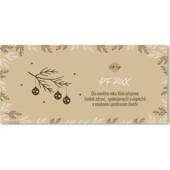 Novoročenka DL07 - PF 2026