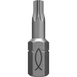 FISCHER INTERNATIONAL NÁSTAVEC T 30/25 ISOTIN