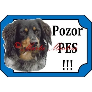 Cedulka český strakatý pes dlouhosrstý - Bez samolepicí vrstvy