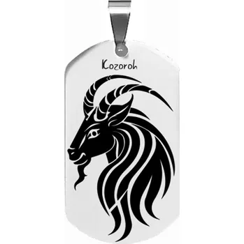 Přívěsek Velký ocelový přívěsek s měsíčním zvěrokruhm - 12 druhů