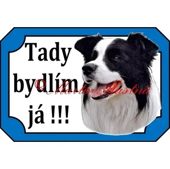 Cedulka border kolie N 2 - Bez samolepicí vrstvy
