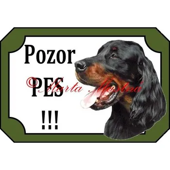 Cedulka gordonsetr 2 - Bez samolepicí vrstvy