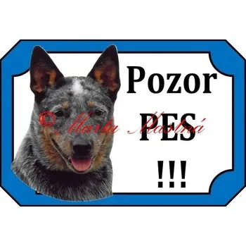 Cedulka australský honácký pes blue - Bez samolepicí vrstvy