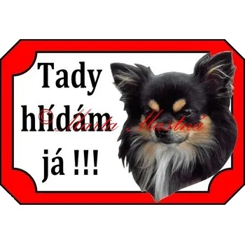 Cedulka čivava, chihuahua dlouhosrstá trikolor 2 - Bez samolepicí vrstvy