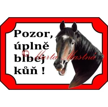 Cedulka kůň, koně hnědák blb - Bez samolepicí vrstvy