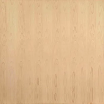 Stavební deska DŘEVOZPRACUJÍCÍ DRUŽSTVO DŘEVOTŘÍSKOVÁ DESKA DÝHOVANÁ DDL DÝHA BUK radiál - rovnoletá dýha EXCLUSIVE 2810X1810X19