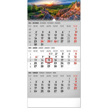 Kalendář 3-mesačný kalendár s ročným prehľadom 2025 sivý - nástenný kalendár