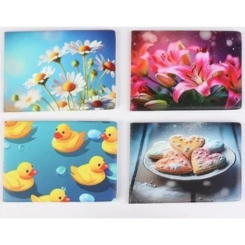 Obal na doklad Pouzdro na průkazy, dívčí, 6 listů, horizontální, PVC