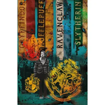 Plakát Plakát, Obraz - Harry Potter - Bradavické koleje