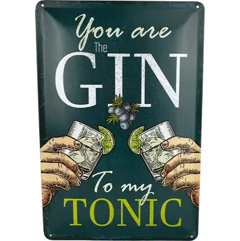 Plechová cedule DODINO Plechová cedule You Are The Gin To My Tonic 20 x 30 cm