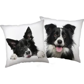 Dekorativní polštářek Polštářek Border kolie