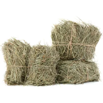 Krmivo pro hlodavce Seno luční 800g