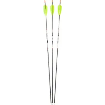 Sportovní střelba Avalon Karbonový šíp Tyro tradiční - Custom Spine: 1100