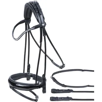 BUSSE Uzdečka Passage Line BUSSE, černá COB