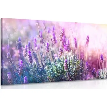 Obraz Dovido Obraz kouzelné květy levandule