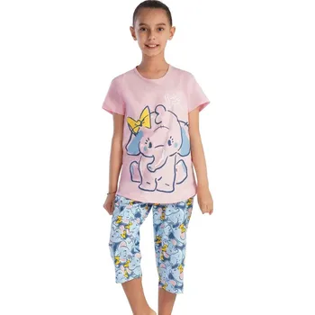 Dívčí pyžamo Růžové i modré dívčí pyžamo se slůňetem 1F0933 růžová 158-164-13-14-let