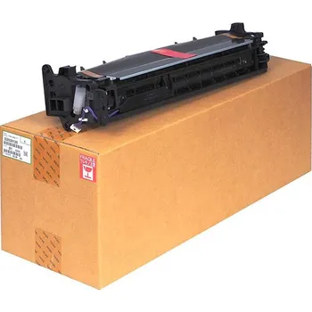 Originální Ricoh D2020126