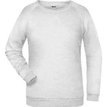 Dámská mikina Dámská raglánová mikina JN 793 ash XL