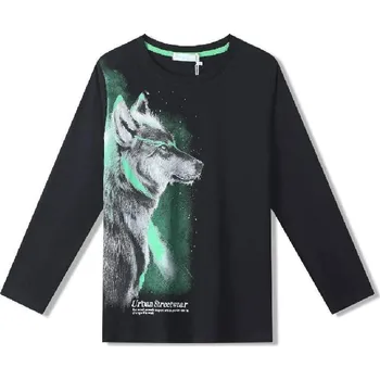 Chlapecké tričko CHLAPECKÉ TRIČKO WOLF S DLOUHÝM RUKÁVEM Barva: Černá, Velikost: 140