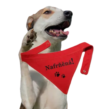 Obleček pro psa Bavlněný šátek s vlastním textem Velikost: S, Barva: cihlová, Potisk: černá